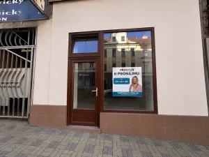 Pronájem obchodního prostoru, Teplice, Masarykova třída, 60 m2
