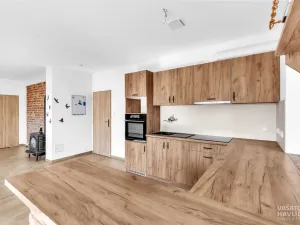 Prodej rodinného domu, Nechanice - Suchá, 204 m2