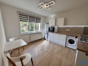 Prodej bytu 1+1, Nové Sedlo, 38 m2