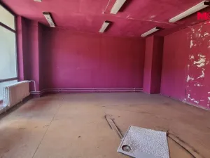 Pronájem obchodního prostoru, Orlová - Lutyně, F. S. Tůmy, 270 m2