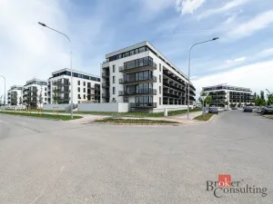 Pronájem bytu 1+kk, Plzeň - Jižní Předměstí, Železná, 47 m2