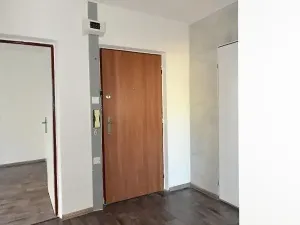 Pronájem bytu 3+1, Most, Josefa Ševčíka, 60 m2