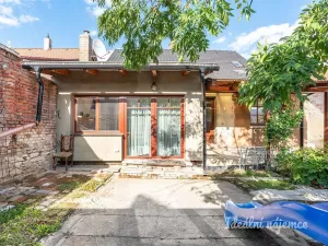 Pronájem rodinného domu, Brandýsek - Olšany, Olšanská I, 100 m2