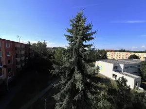 Pronájem bytu 1+1, Židlochovice, sídl. Družba, 34 m2