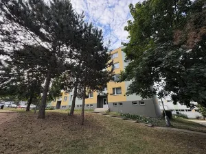 Pronájem bytu 1+1, Židlochovice, sídl. Družba, 34 m2