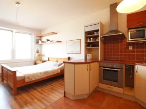 Pronájem bytu 1+kk, Olomouc - Nová Ulice, Okružní, 38 m2