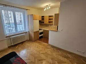 Pronájem bytu 1+kk, Příbram - Příbram VII, 28. října, 22 m2