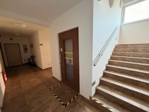 Pronájem bytu 2+kk, Nový Malín, 65 m2