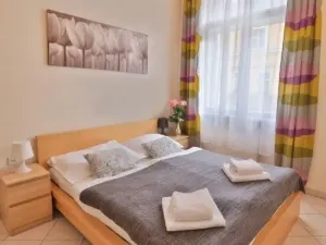 Pronájem bytu 2+kk, Praha - Nové Město, Tyršova, 35 m2