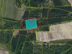 Prodej lesa, Neratov, 10225 m2