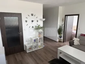 Prodej bytu 2+kk, Mladá Boleslav, Laurinova, 45 m2