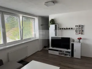 Prodej bytu 2+kk, Mladá Boleslav, Laurinova, 45 m2