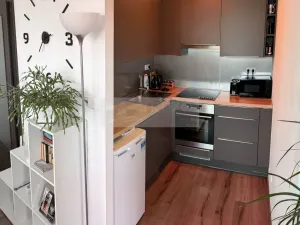 Prodej bytu 2+kk, Mladá Boleslav, Laurinova, 45 m2