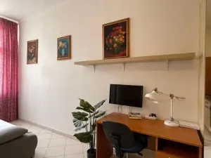 Pronájem bytu 2+kk, Praha - Nové Město, Tyršova, 45 m2