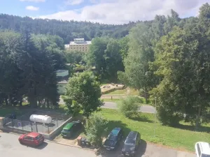 Prodej bytu 2+1, Žlutice, Vítězná, 52 m2