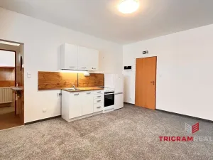 Pronájem bytu 1+kk, Hradec Králové - Piletice, 23 m2