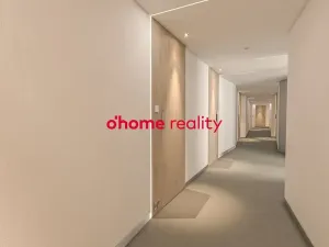 Prodej bytu 1+kk, Olomouc, Okružní, 30 m2
