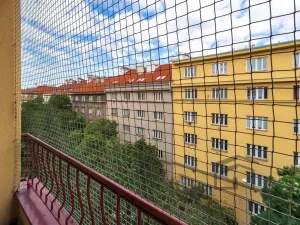 Prodej bytu 3+1, Praha - Žižkov, Biskupcova, 87 m2