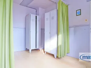 Pronájem skladu, Holice, Hradecká, 317 m2