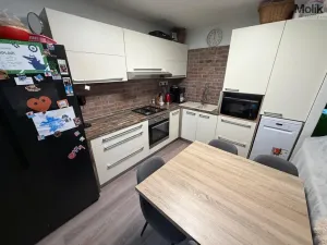 Prodej bytu 4+1, Most, F. L. Čelakovského, 67 m2
