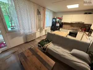 Prodej bytu 4+1, Most, F. L. Čelakovského, 67 m2