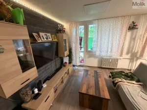 Prodej bytu 4+1, Most, F. L. Čelakovského, 67 m2