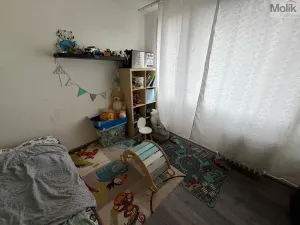 Prodej bytu 4+1, Most, F. L. Čelakovského, 67 m2