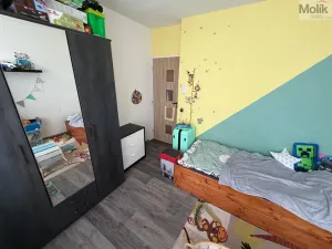 Prodej bytu 4+1, Most, F. L. Čelakovského, 67 m2