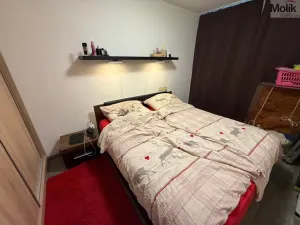 Prodej bytu 4+1, Most, F. L. Čelakovského, 67 m2
