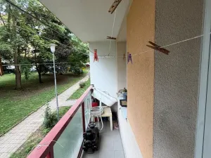 Prodej bytu 4+1, Most, F. L. Čelakovského, 67 m2
