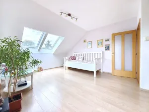 Prodej rodinného domu, Nový Vestec, U Tří Cest, 224 m2