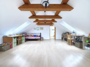 Prodej rodinného domu, Nový Vestec, U Tří Cest, 224 m2