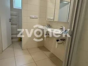 Pronájem bytu 1+kk, Zlín, Štefánikova, 16 m2