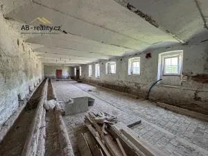 Prodej pozemku pro bydlení, Čakovičky, Střední, 8919 m2