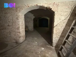 Pronájem obchodního prostoru, Praha, Ostrovní, 316 m2