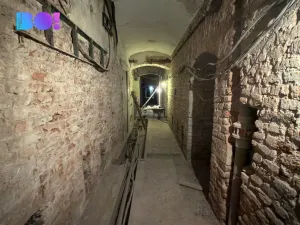 Pronájem obchodního prostoru, Praha, Ostrovní, 316 m2