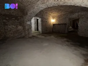 Pronájem obchodního prostoru, Praha, Ostrovní, 316 m2