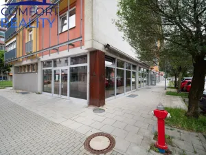 Prodej restaurace, Ostrava - Poruba, U Soudu, 147 m2