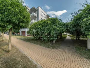 Pronájem bytu 3+kk, Hradec Králové - Nový Hradec Králové, Rybova, 74 m2