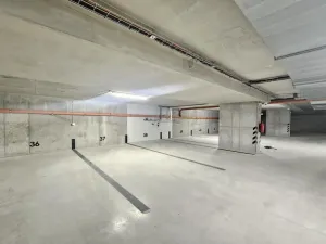Pronájem bytu 2+kk, Plzeň - Jižní Předměstí, U Borského parku, 67 m2
