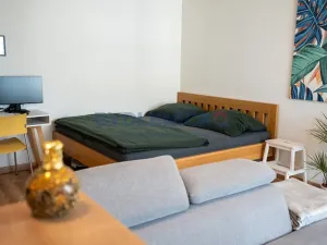 Prodej bytu 1+kk, České Budějovice, České Vrbné, 45 m2