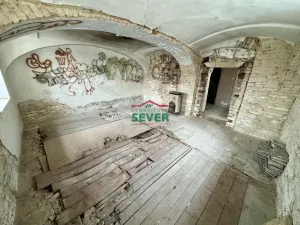 Prodej rodinného domu, Vrutice, 200 m2