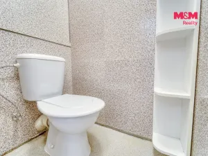 Pronájem bytu 1+kk, Plzeň - Doudlevce, Šimerova, 20 m2