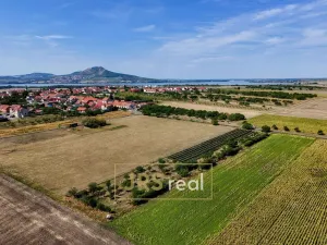 Prodej zahrady, Šakvice, 5111 m2