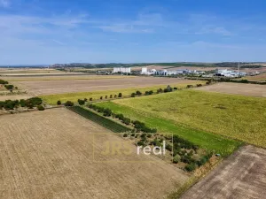 Prodej zahrady, Šakvice, 1690 m2
