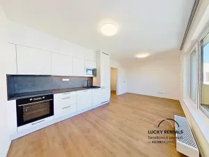 Pronájem bytu 1+kk, Praha - Chodov, Horynova, 32 m2