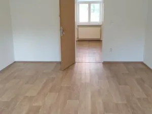 Pronájem bytu 1+1, Přerov - Přerov I-Město, Osmek, 50 m2
