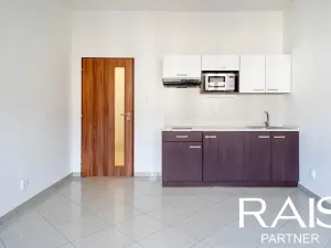 Pronájem bytu 1+kk, Brno - Husovice, Svitavská, 30 m2