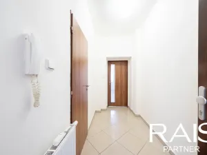 Pronájem bytu 1+kk, Brno - Husovice, Svitavská, 30 m2