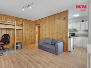 Prodej bytu 1+kk, Kladno - Kročehlavy, Litevská, 27 m2